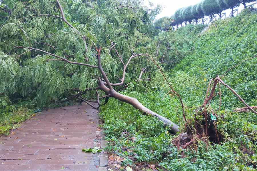 বৃষ্টির জেরে ঢাকার গ্রিন রোড, গার্ডেন রোড, পশ্চিম তেজতুরি বাজার, মীরপুর রোডের বেশ কিছু এলাকা এবং ধানমন্ডির অনেক এলাকায় রাস্তায় জল জমে যায়। ঢাকার নিচু এলাকাগুলিতে বাড়িতেও জল ঢুকেছে।