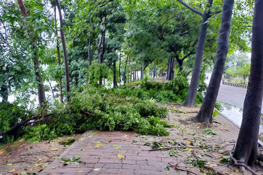  বাংলাদেশের সংবাদপত্র ‘প্রথম আলো’র সূত্রে জানা গিয়েছে, সোমবার রাত ১২টার পর থেকে বৃষ্টির পরিমাণ কমে গিয়েছে। মঙ্গলবার ঢাকার গ্রিন রোডে জল নেমেছে। কিন্তু পশ্চিম তেজতুরি বাজার এলাকার কিছু অংশ জলমগ্ন মঙ্গলবার সকালেও।