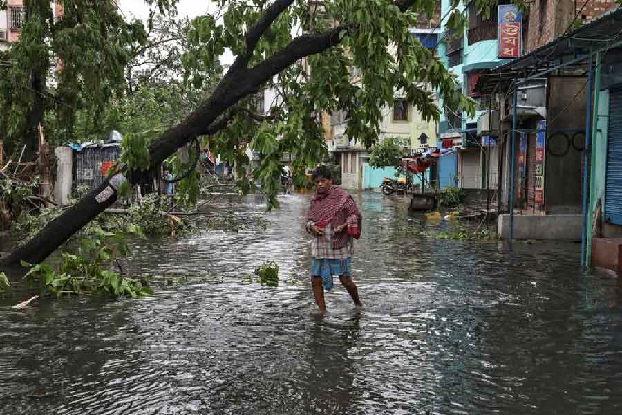 মঙ্গলবার ঢাকার কয়েকটি শিক্ষাপ্রতিষ্ঠান বন্ধ রাখার ঘোষণা করা হয়েছে। তবে খোলাও রয়েছে কয়েকটি শিক্ষাপ্রতিষ্ঠান।