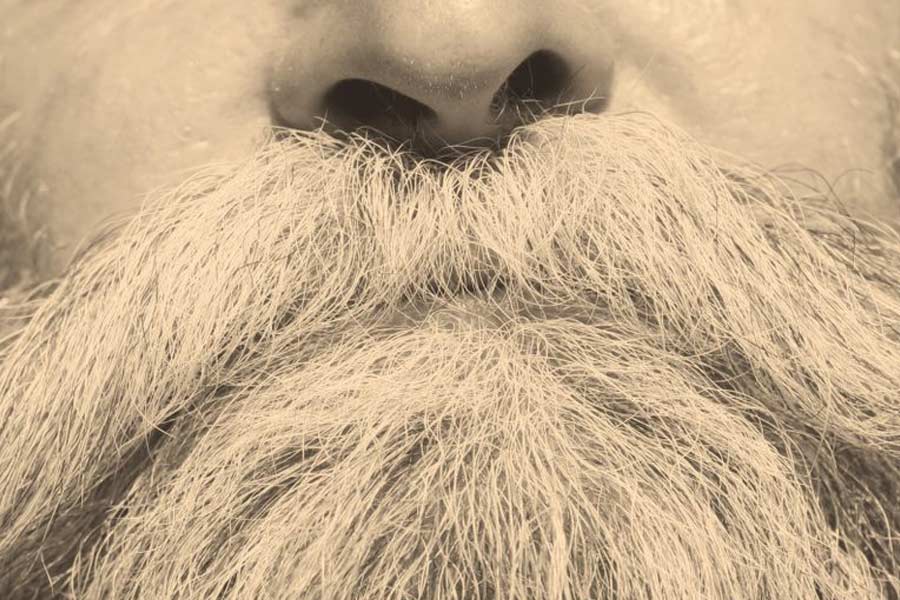 সে পাথরের দিকে এক ঝলক তাকালে কিছু ক্ষণ থমকে যেতে হয়। প্রৌঢ়ের দাড়ির বৈশিষ্ট্য পথচলতি যে কোনও মানুষের নজর কাড়বে। মুখ থেকে শুরু হয়ে তাঁর দাড়ি ছাড়িয়ে গিয়েছে পা-ও।