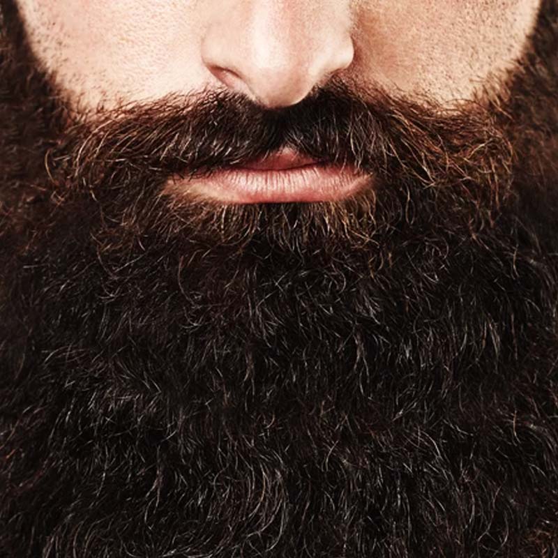 কিন্তু মেয়র হিসাবে কাজের জন্য নয়, দাড়ির জন্য ‘অমর’ হয়ে আছেন হান্স। সাধের দাড়িই ডেকে এনেছিল তাঁর মৃত্যু।