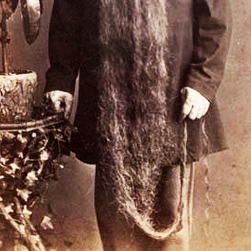 জানা যায়, হান্সের দাড়ির দৈর্ঘ্য ছিল প্রায় সাড়ে চার ফুট। তৎকালীন বৃহত্তম দাড়ির রেকর্ড ছিল তাঁর অধীনে। শখেই দাড়ি বাড়িয়েছিলেন হান্স। এই শখই যে তাঁর কাল হয়ে দেখা দেবে, ভাবতেও পারেননি।