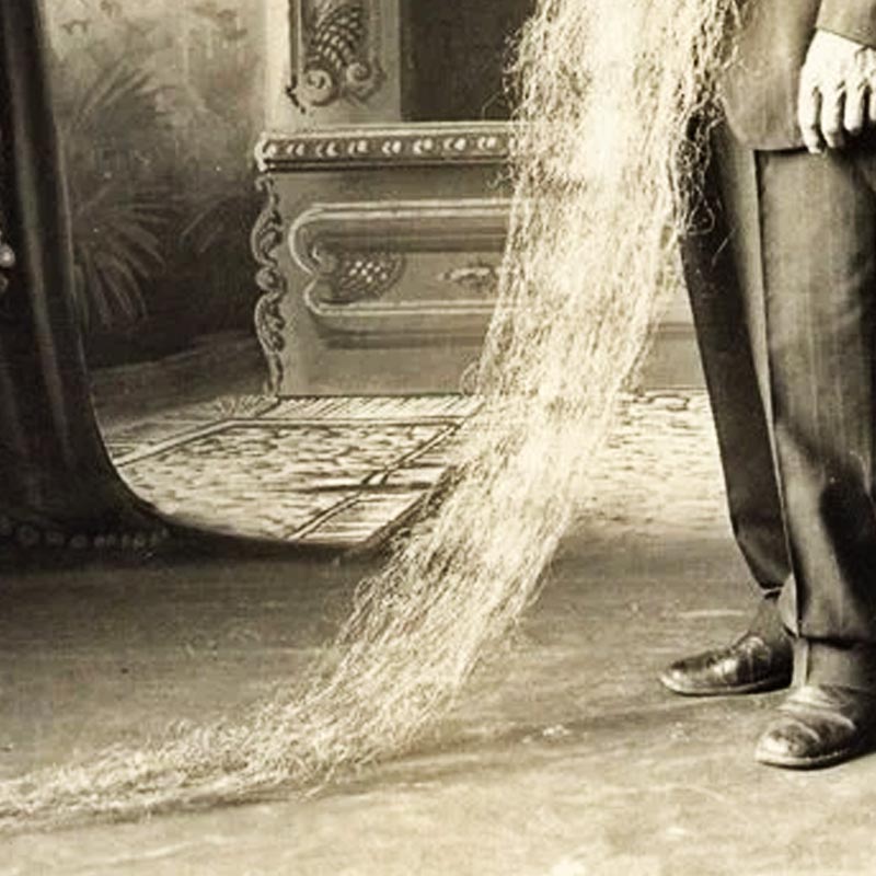 অনেকে বলেন, হান্সের নিজের উচ্চতার চেয়ে তাঁর দাড়ির দৈর্ঘ্য বেশি ছিল। লম্বা দাড়ির শেষ অংশ যত্ন করে ভাঁজ করে পকেটে পুরে রাখতেন তিনি। সে ভাবেই হাঁটাচলা করতেন। শহরে এই অভিনব দাড়িও তাঁর জনপ্রিয়তার অন্যতম কারণ ছিল।