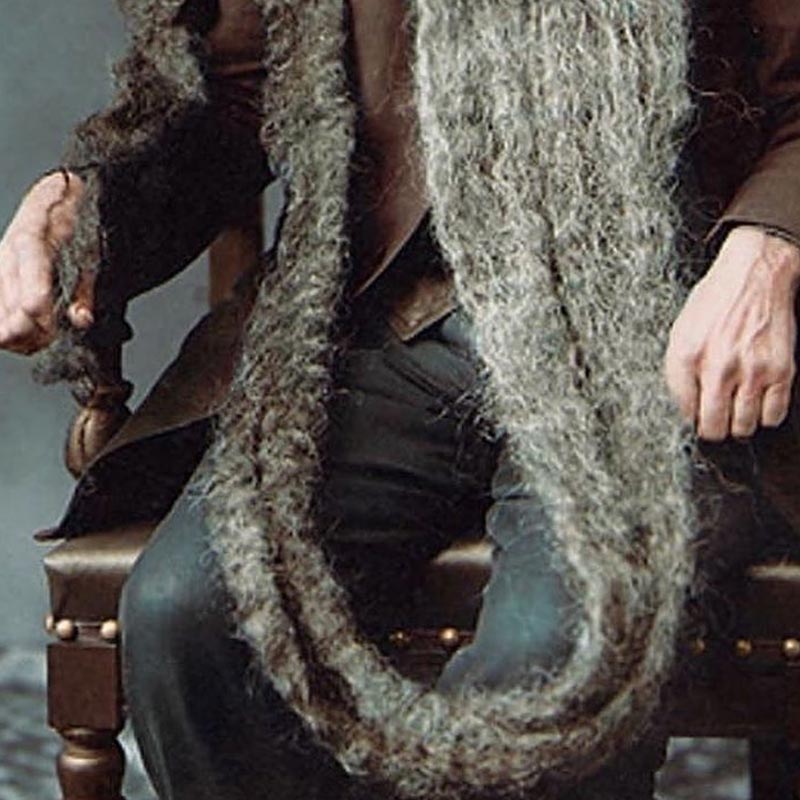 এই পরিস্থিতিতে চুপ করে বসে থাকতে পারেননি হান্স। দৌড়ে রাস্তায় নামতে চেয়েছিলেন। জনগণকে আশ্বস্ত করে পরিস্থিতি স্বাভাবিক করার চেষ্টা করেছিলেন। কিন্তু সে পথে বাধা হয়ে দাঁড়ায় তাঁর যত্ন করে বাড়িয়ে তোলা দাড়ি।