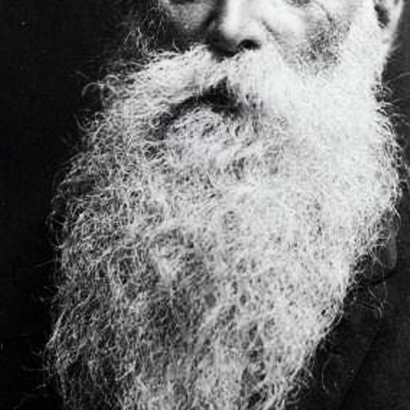 সিঁড়ি দিয়ে দৌড়ে নামার সময় হান্সের দাড়ি মেঝেতে লুটিয়ে পড়েছিল। তাতেই তাঁর পা আটকে যায়। হোঁচট খেয়ে সিঁড়ি থেকে পড়ে যান তিনি।