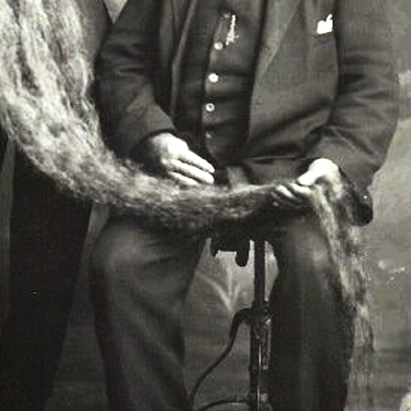 মৃত্যুর পর পৃথিবীর কোনায় কোনায় ছড়িয়ে পড়ে হান্সের নাম। সকলে তাঁকে মনে রেখেছেন তাঁর অদ্ভুত দাড়ির শখ এবং মর্মান্তিক পরিণতির জন্য।