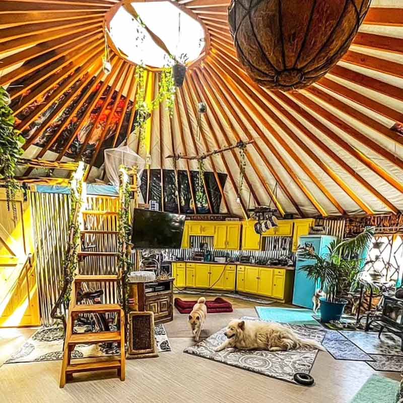 এ-ও ঠিক করেন, শহর থেকে যতটা সম্ভব কম জিনিসপত্র কিনে আনবেন। তা সে যতই প্রয়োজনীয় হোক। নিজেরাই নিজেদের প্রয়োজন মেটানোর চেষ্টা করবেন।