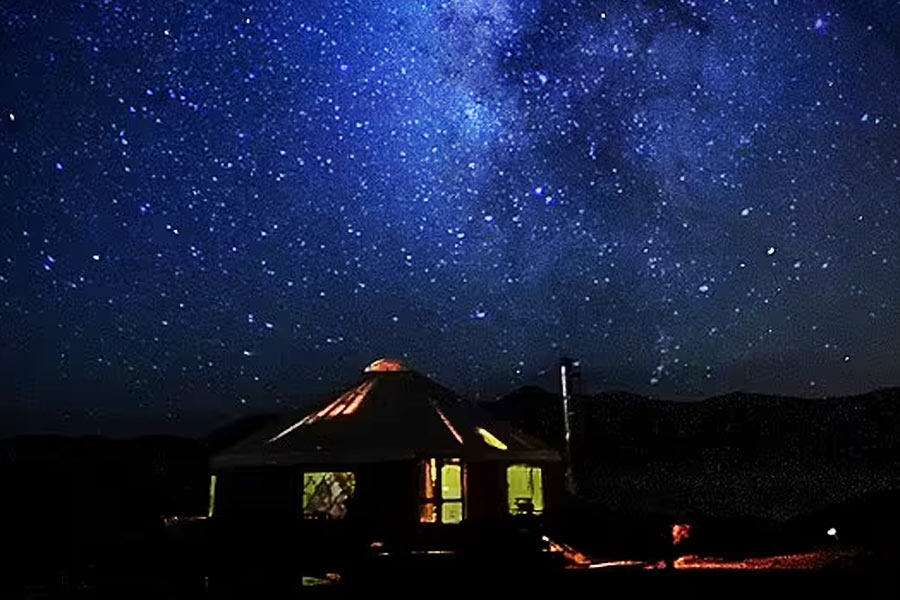 ২০২০ সালে উইসকনসিন থেকে ৩,২১৮ কিলোমিটার দূরে মরুভূমিতে বাস করার সিদ্ধান্ত নেন হুইটনিরা। ক্যালিফোর্নিয়ার জোশুয়া জাতীয় উদ্যানে নিজেদের ঠিকানা গড়ার উদ্যোগ নেন।