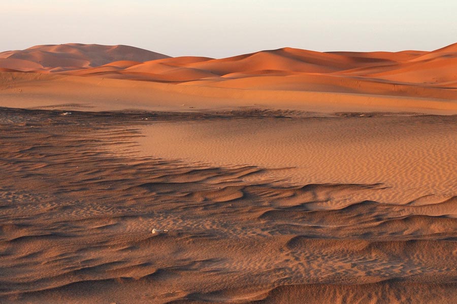  মরুভূমির মাঝে ২.৩ একর জমি কেনেন। ২০২০ সালে যার দাম পড়েছিল মাত্র সাত হাজার পাউন্ড। ভারতীয় মুদ্রায় যা প্রায় সাড়ে ছ’লক্ষ টাকা।