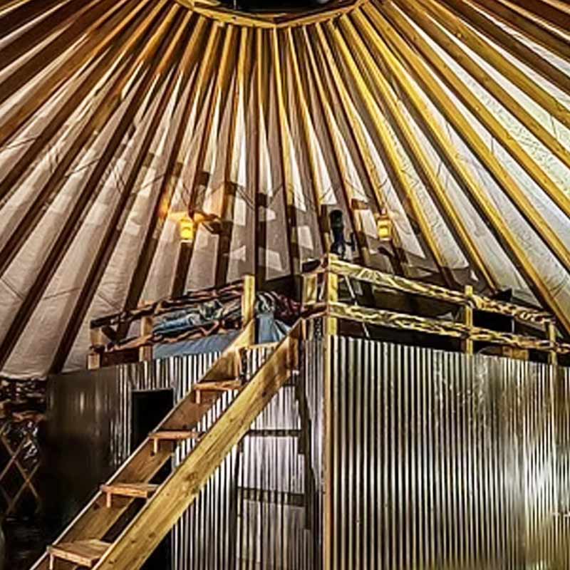  আমেরিকার ওই দম্পতি রান্না করেন গ্যাসে। তা কিন্তু শহর থেকে আনেন না। নিজেরাই জৈব গ্যাস উৎপাদন করেন। শাকসবজির খোসা, ফেলে দেওয়া খাবার, এমনকি নিজেদের বিষ্ঠার প্রক্রিয়াকরণ করে জৈব গ্যাস তৈরি করেন তাঁরা। সেই দিয়েই স্টোভ এবং এয়ার ফ্রায়ারে রান্না করেন।