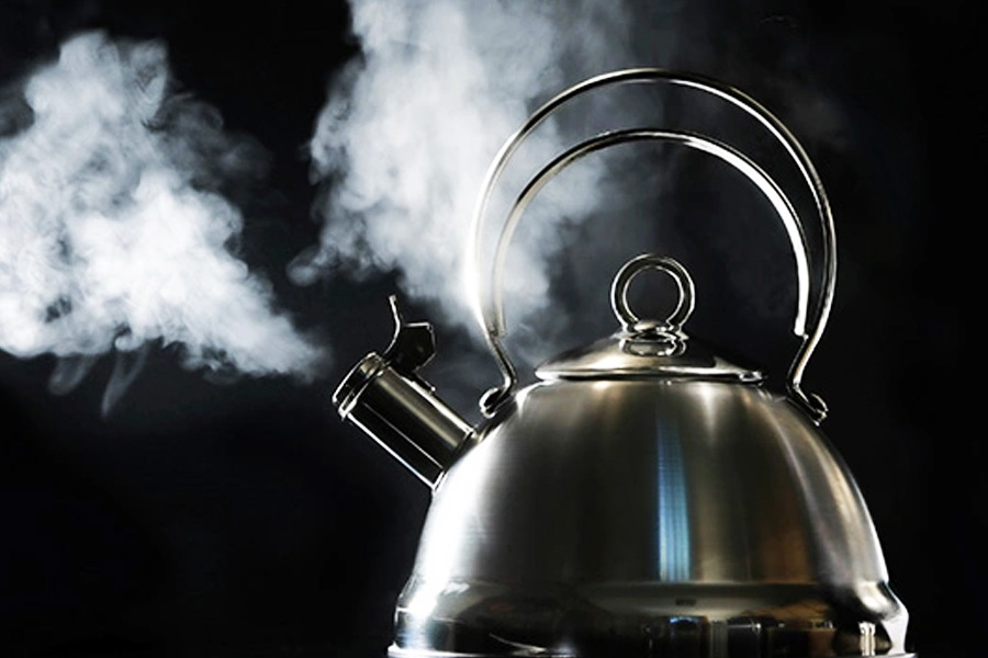 এখনও গরম জলের ব্যবস্থা করতে পারেননি হুইটনিরা। আগামী দিনে সেই ব্যবস্থাও করে ফেলবেন বলে আশা তাঁদের।  আরও একটি লক্ষ্য রয়েছে হুইটনিদের। ঠিক করেছেন, শাকসবজিও আর শহরের বাজার থেকে কিনে আনবেন না তাঁরা। নিজেদের জমিতেই তৈরি করবেন গ্রিনহাউস। সেখানেই চাষ করবেন শাকসবজি।