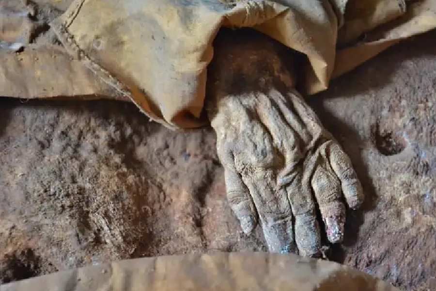 মমির দেহাংশ।