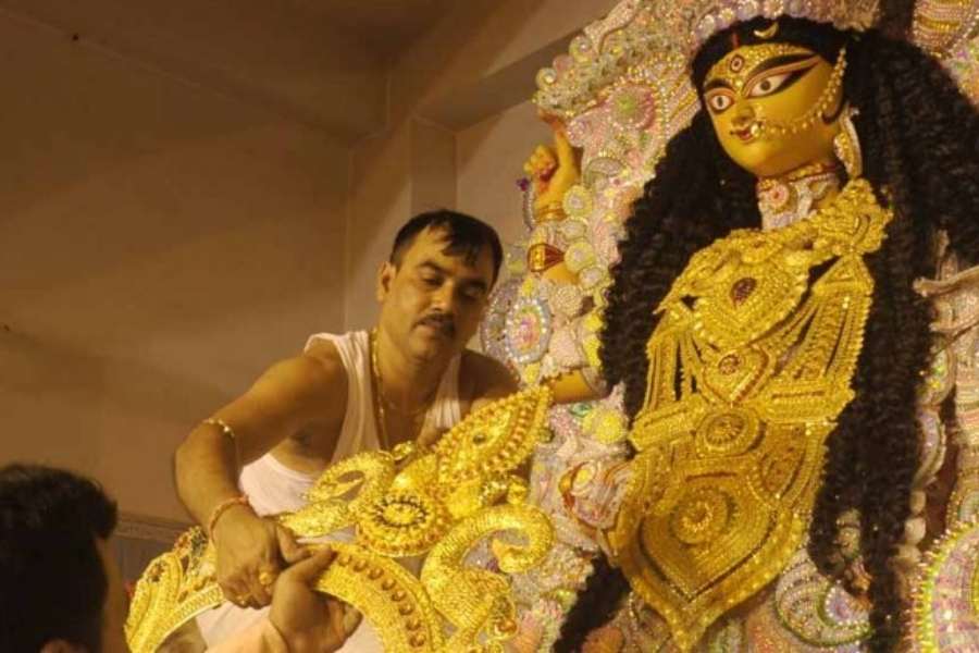 পুজোর উদ্যোক্তাদের অন্যতম গৌতম ঘোষ বলেন, "চাষাপাড়ার বুড়িমা কৃষ্ণনগরের ঐতিহ্য। বুড়িমার প্রসাদ খেলে পূরণ হয় মনোবাঞ্ছা। তাই একটু প্রসাদ পাওয়ার আশায় ছুটে আসে ভক্তদের দল।" 