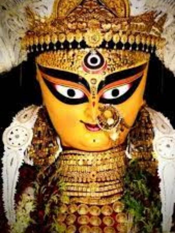 একেই ভয় কেটেছে করোনার, তাতে এ বার ২৫০ বছর পূর্তি এই পুজোর। আয়োজন করা হয়েছে সাংস্কৃতিক অনুষ্ঠানেরও। 