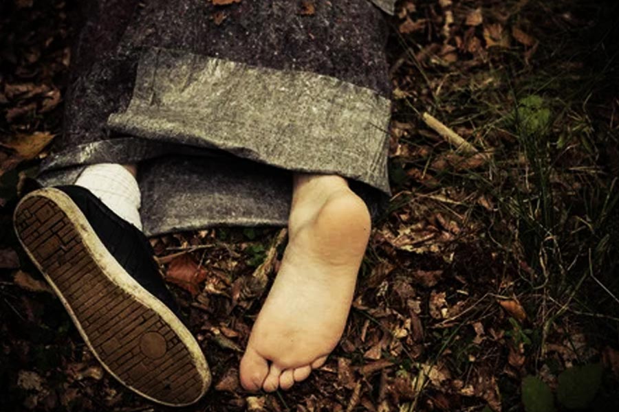 লুসি জানিয়েছেন, খুনের পর দেহগুলি লোপাট করার কাজে বাবাকে সাহায্য করতেন তিনি। তাঁর অন্যান্য ভাইবোনরাও এই কাজে হাত লাগিয়েছিলেন।