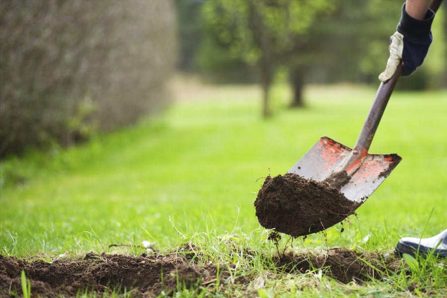 একটি সাক্ষাৎকারে লুসি বলেছেন, ‘‘আমার বাবা খুন করত। আমি জানি দেহগুলি কোথায় পোঁতা রয়েছে।’’ তাঁর দেখানো নির্দিষ্ট এলাকায় গিয়ে মাটির নীচে মৃতদেহের উপস্থিতির প্রমাণ পেয়েছে পুলিশ। তবে সংশ্লিষ্ট এলাকায় খননকার্য চালিয়ে আরও বিস্তারিত তদন্তের পর লুসির দাবির সত্যতা জানা যাবে বলে পুলিশ জানিয়েছে।