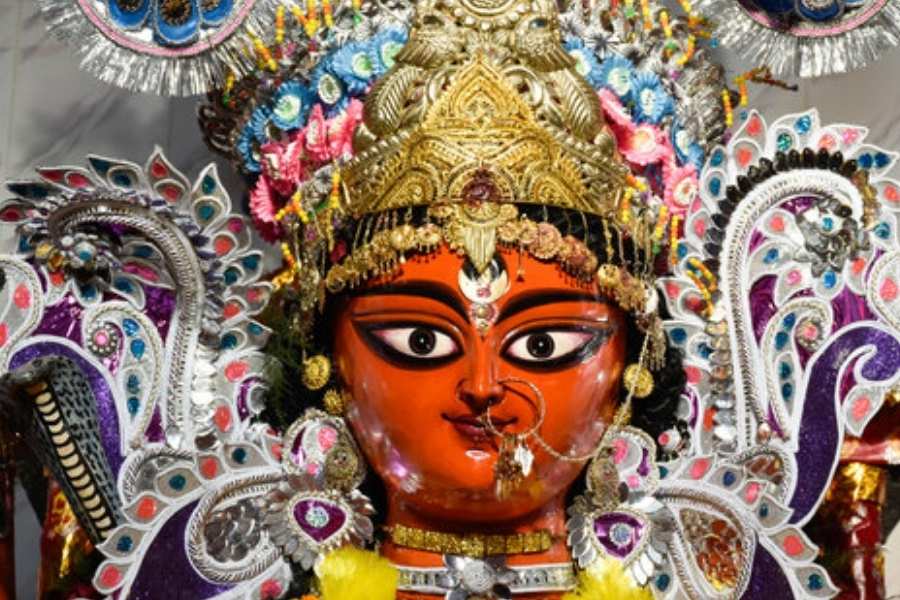 গ্রামের ১২ জন তরুণ এগিয়ে আসেন। প্রায় ২৭০ বছর আগে তাঁরাই দুর্গাপুজোর বদলে শুরু করেছিলেন শ্রী শ্রী বিন্দ্যবাসিনী জগদ্ধাত্রী দেবীর পুজো। 