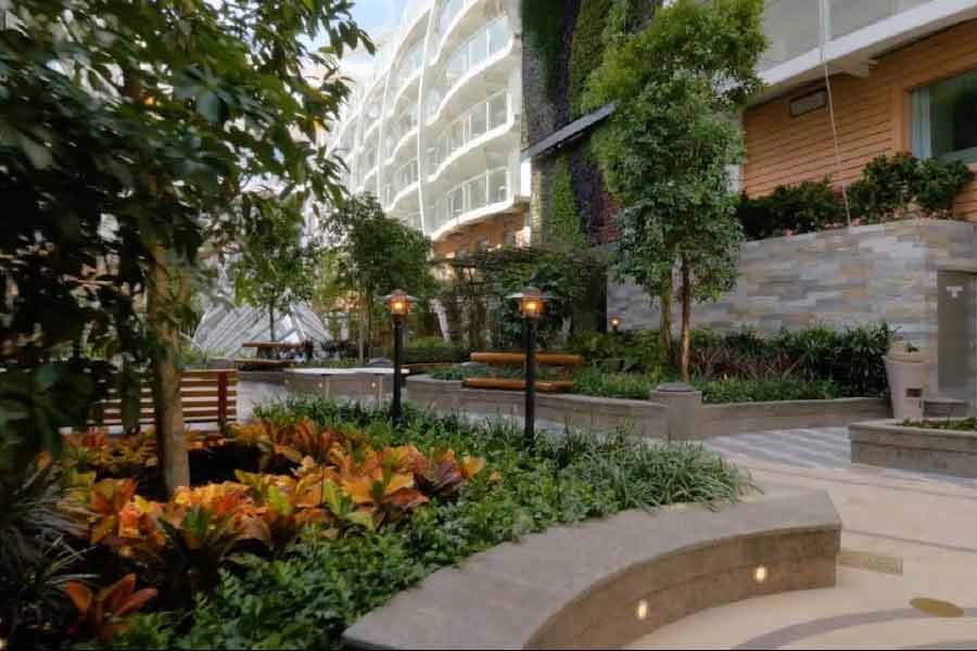 জাহাজের মধ্যেই এক জায়গায় রয়েছে নানা রকম ফুলের বাগান। গাছগাছালির মাঝে অবসর যাপন করেন র‌্যাচেল। এ ছাড়া, নানা রেস্তরাঁ ও ক্যাফে রয়েছে যাত্রী এবং জাহাজকর্মীদের বিনোদনের জন্য।