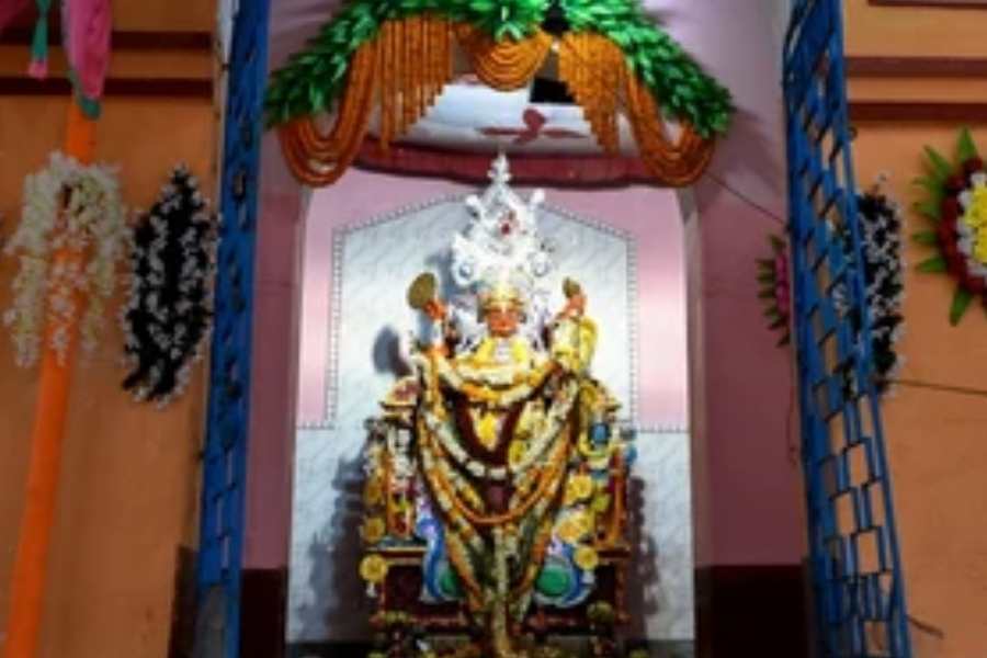 যদিও নানা তথ্যসূত্রে জানা গিয়েছে, উদ্যোক্তাদের আর্থিক অনটনের কারণে এই প্রাচীন পুজোর অবস্থা এখন বিপর্যস্ত।