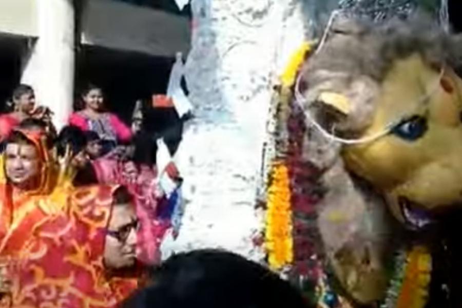 অত্যন্ত জাগ্রত এই পুজোয় প্রতি বছর অংশগ্রহণ করেন লক্ষাধিক মানুষ।  দেবীর জনপ্রিয়তা বিপুল। ভক্তদের ভিড়ও হয় দেখার মতো। তার মধ্যে পুজোর কাজ সুষ্ঠু ভাবে সম্পন্ন করতে অগত্যা উদ্যোক্তারা প্রশাসনের সাহায্য নিয়ে পুজোটিকে চার দিন ব্যাপী উৎসবের রূপ দিয়েছেন। 