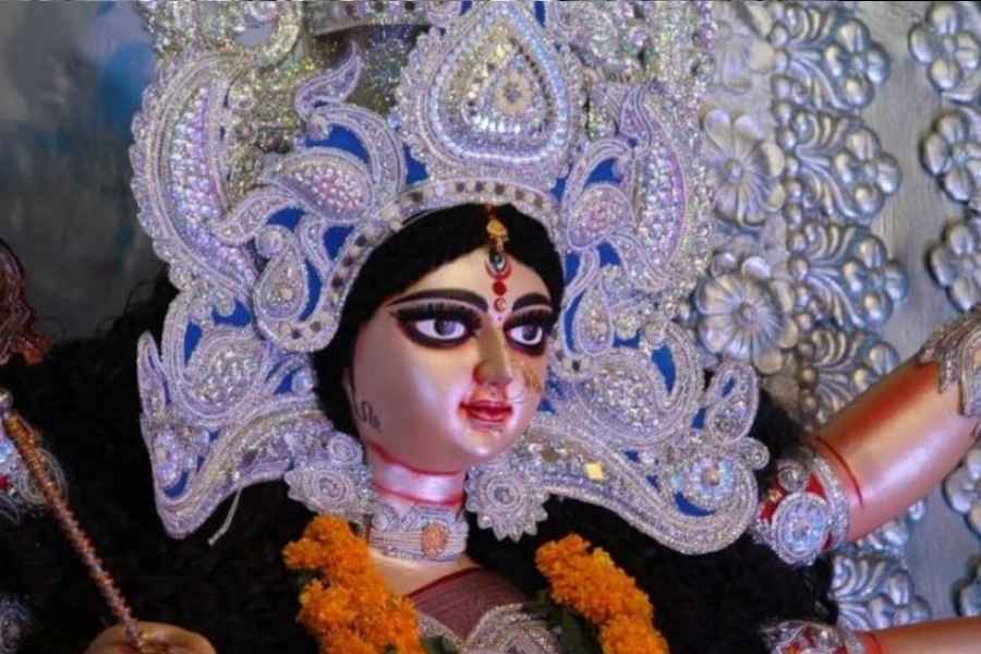 তখন দেবতাদের সামনে উপস্থিত হলেন এক চতুর্ভুজা দেবীমুর্তি- দেবী জগদ্ধাত্রী। তাঁর উপস্থিতি দেবতাদের জানান দিল, তিনিই জগতের ধারিণী শক্তি। আবার শ্রীশ্রীচণ্ডীতেও উল্লেখ পাওয়া যায় যে, মহিষাসুরের সঙ্গে তীব্র যুদ্ধের সময়ে অসুর নানা রূপ ধারণ করে বিভ্রান্ত করার চেষ্টা করেছিলেন দেবীকে। তখন হস্তী ছিল তাঁর এক রূপ।