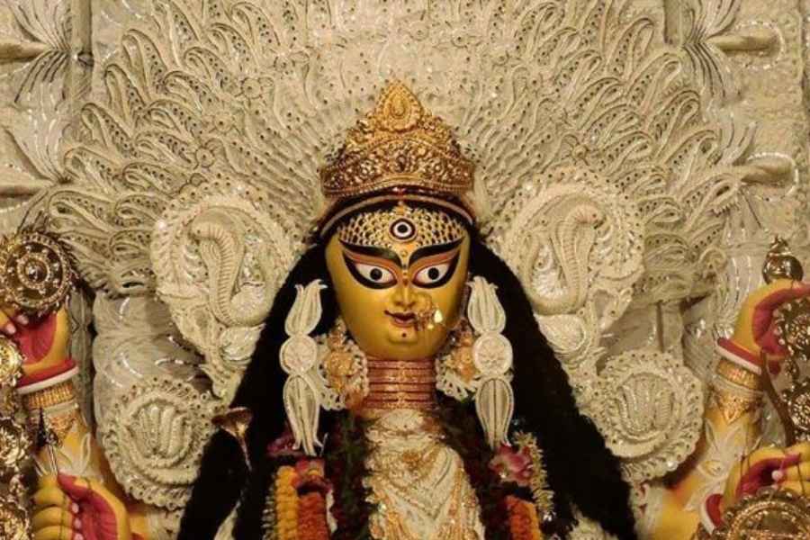 আবার মূর্তিতত্ত্বে দেবী জগদ্ধাত্রীর বাহন সিংহ দাঁড়িয়ে আছে হস্তীর মৃত শরীরের উপরে। সংস্কৃতে এই হস্তীর নাম করী, আর তাই তাঁর নাম করীন্দ্রাসুর। এবং জগদ্ধাত্রী দেবীর আর এক নাম হয় করীন্দ্রাসুরনিসূদিনী।