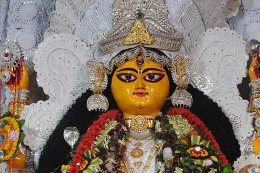 নতুন ধরনের অভিজ্ঞতা হবে দর্শনার্থীদের। এ ছাড়াও থাকছে এলইডি আলোয় দুর্গার মুখ থেকে সরকারি প্রকল্প এবং হিন্দু-মুসলিম সম্প্রীতির বার্তা।