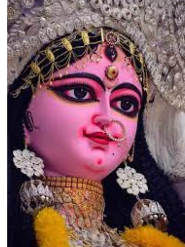 আবার আর একটি মতানুসারে, চন্দননগর আর কৃষ্ণনগরের মধ্যে বাণিজ্যিক যোগাযোগ বহু দিনের। কৃষ্ণনগরের চাল ব্যবসায়ীরা নির্দিষ্ট সময়ে চন্দননগর (তৎকালীন  ফরাসডাঙা) থেকে চাল কিনে বাড়ি ফিরতে না পারায় ফরাসি সরকারের অনুমতিক্রমে চন্দননগরের চাউল পট্টিতে জগদ্ধাত্রী পুজোর শুরু করেছিলেন। সেটিই পরবর্তীকালে এগিয়ে নিয়ে যান চন্দননগরের চাল ব্যবসায়ীরা। 