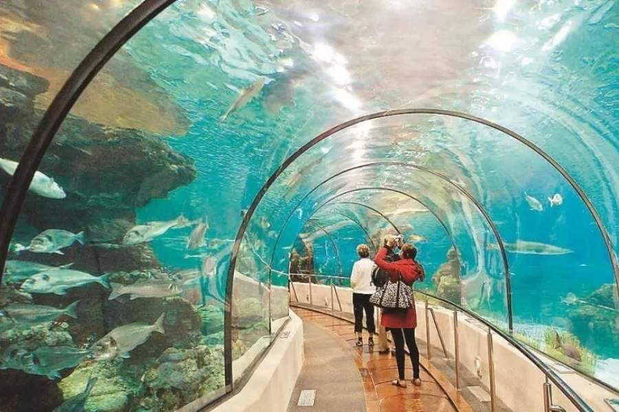 পুরনো দিঘার কাছে মেরিন অ্যাকোয়ারিয়াম ও রিজিওন্যাল সেন্টারের কাছেই গড়ে উঠতে চলেছে এই আন্ডারওয়াটার পার্ক। তার জন্য নতুন নিমজ্জিত সুড়ঙ্গ তৈরির কথা ভাবছে প্রশাসন। 