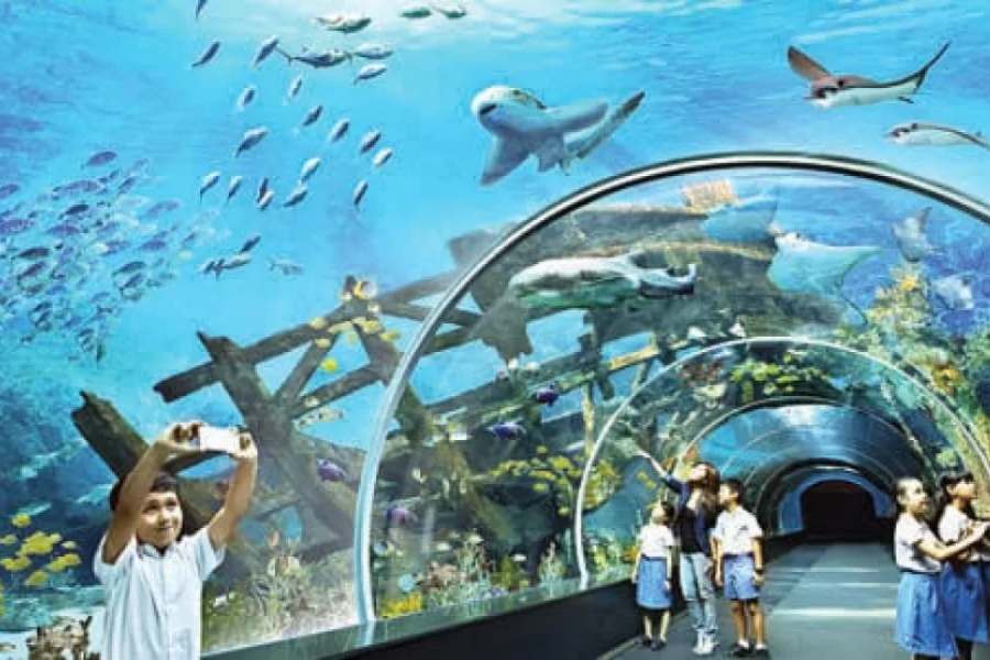 পর্যটক টানতে সৈকত শহর দিঘার জুড়ি মেলা ভার। রাজ্য প্রশাসন তাই দিঘাকে আরও আকর্ষণীয় করে তুলতে এই ধরনের পার্ক গড়তে চাইছে। 