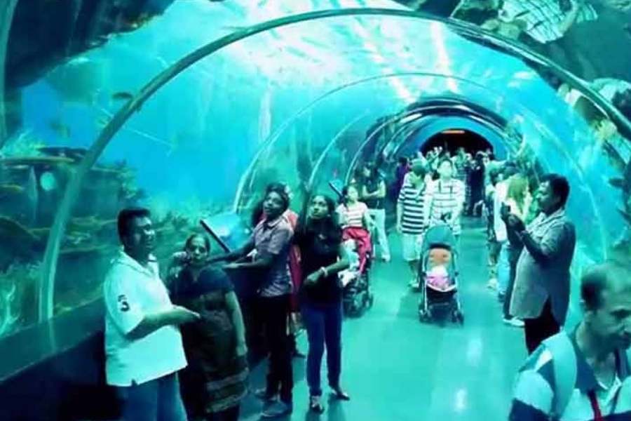 দর্শকেরা টিকিট কেটে এই পার্কে ঢুকে চাক্ষুষ করতে পারবেন সামুদ্রিক জীবদের। পর্ষদ কর্তাদের বিশ্বাস, এর সাহায্যে বৃদ্ধি পাবে পরিবেশ সচেতনতাও। 