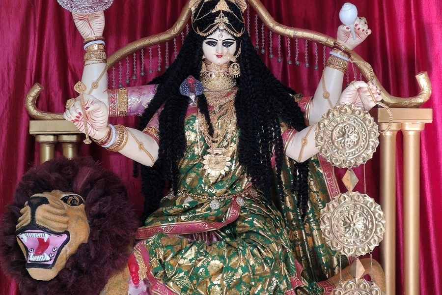 রাজা কৃষ্ণচন্দ্রের সমকালীন এই পুজো এখনও নিজের ঐতিহ্যের সঙ্গে সমান জৌলুস নিয়ে আয়োজিত হয়ে চলেছে। এই পুজোর এক বিশেষ আকর্ষণ ‘ধুনো পোড়া’ । 