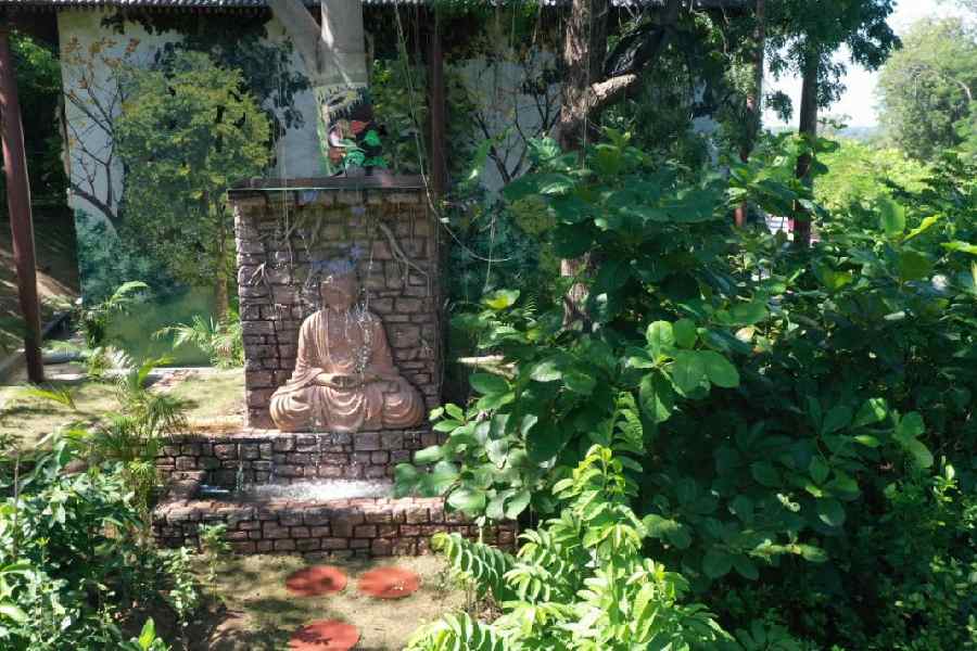 স্ট্যাচু অফ ইউনিটির পাদদেশে গোলকধাঁধাটি যেখানে তৈরি হয়েছে, সেখানে এর আগে ইমারতি জঞ্জাল এনে ফেলা হত। সেই জায়গাটিই নতুন করে সাজিয়ে বানানো হয়েছে দ্য মেজ গার্ডেন। ৩ একর বিস্তৃত এই গোলকধাঁধায় তৈরি করা হয়েছে ২ কিলোমিটারেরও বেশি রাস্তা।