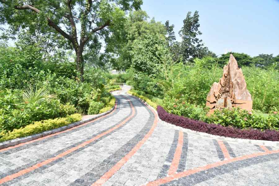 জাপানের এক উদ্ভিদ বিজ্ঞানীর আবিষ্কৃত পদ্ধতি মেনে মাত্র ২-৩ বছরে তৈরি করা হয়েছে এই জঙ্গল। তাই নামকরণও হয়েছে তার নামেই।