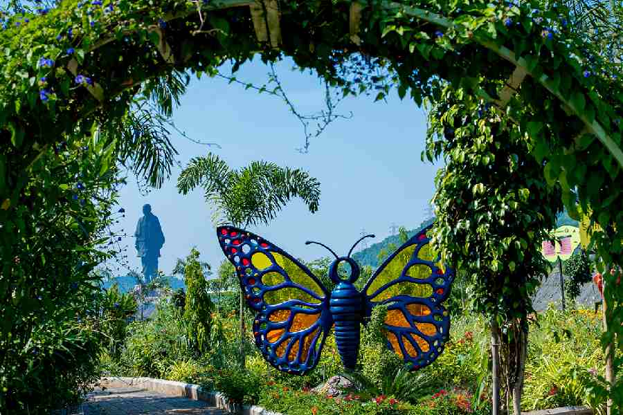 পরিসংখ্যান বলছে ২০১৮ সালে উদ্বোধন হওয়ার পর থেকে স্ট্যাচু অফ ইউনিটির লাগোয়া গুজরাতের কেভাডিয়ার একতা নগরে ৮০ লক্ষ পর্যটক এসেছেন। রবিবার সেই একতা নগরে আরও নতুন দু’টি আকর্ষণ যুক্ত হওয়ায় তা আরও বেশি পর্যটকদের আকর্ষণ করবে বলে আশা করছে প্রশাসন।