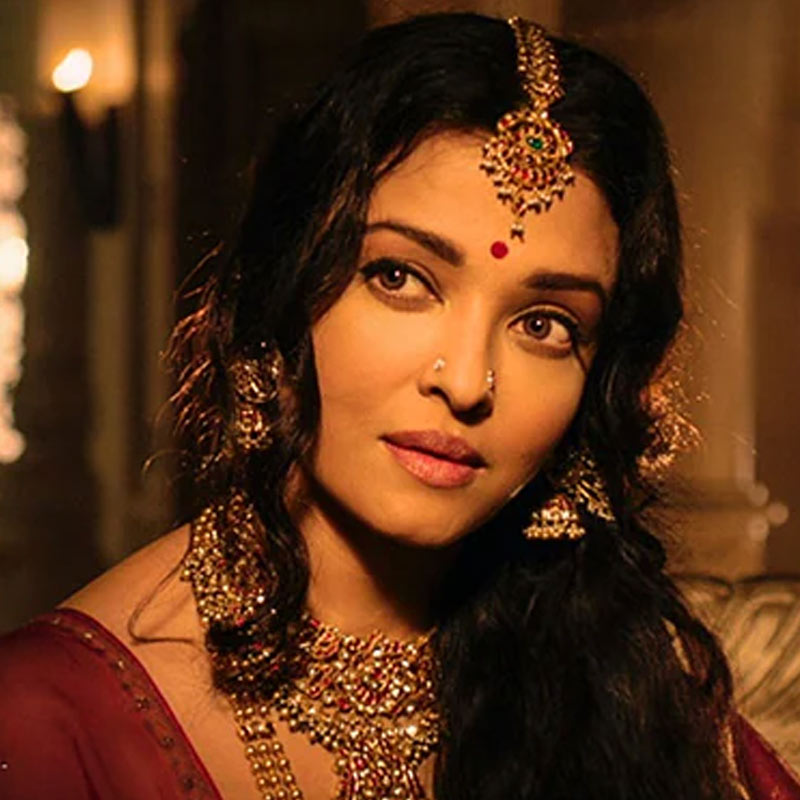 এই ছবিতে ঐশ্বর্যা রাই বচ্চন, প্রসেনজিৎ চট্টোপাধ্যায়, রাইমা সেনের মতো প্রথম সারির তারকাদের সঙ্গে অভিনয় করেছিলেন সোনালি।