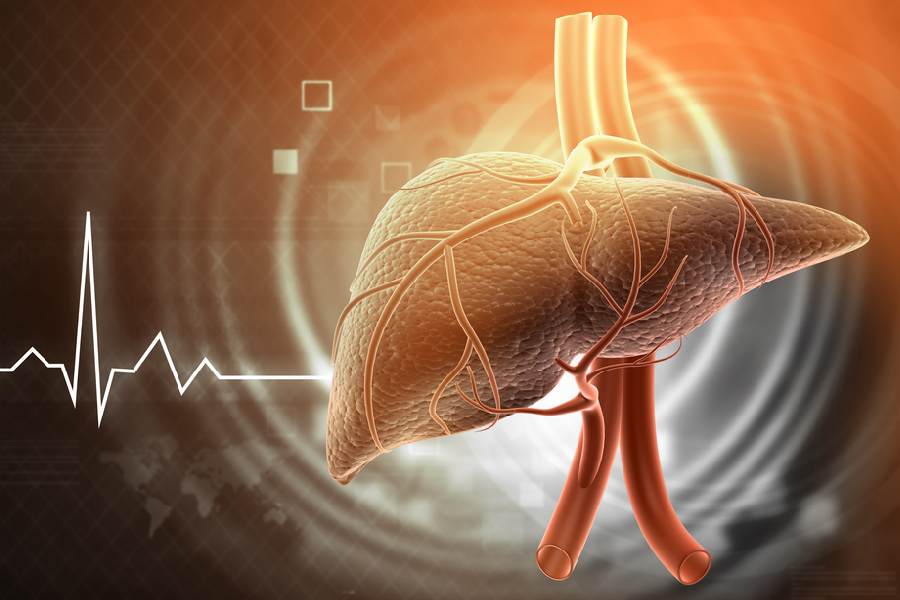ফ্যাটি লিভারে আক্রান্ত হলে যকৃতের কোষগুলির ক্ষয় হতে শুরু করে। 