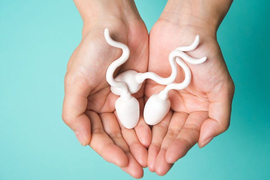 মারণরোগ ক্যানসারে ভুগছিলেন স্বামী। জানতেন, মনের মানুষকে আর বেশি দিন কাছে ধরে রাখতে পারবেন না। তাই স্বামীর মৃত্যুর পরও যাতে তাঁর সন্তান গর্ভে ধারণ করতে পারেন, সে কারণে শুক্রাণু  সংরক্ষণের সিদ্ধান্ত নিলেন ওই তরুণী। 