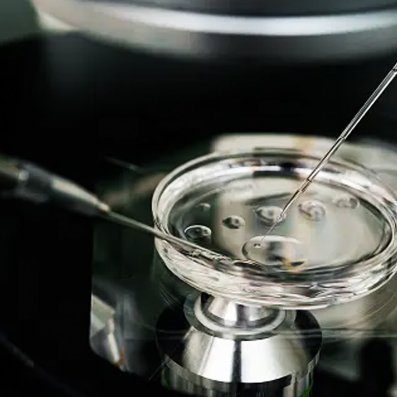 কেমোথেরাপির সময়ই শুক্রাণু সংরক্ষণ করে রেখেছিলেন জোশ। বিয়ের এক মাসের মধ্যেই মৃত্যু হয় জোশের। 