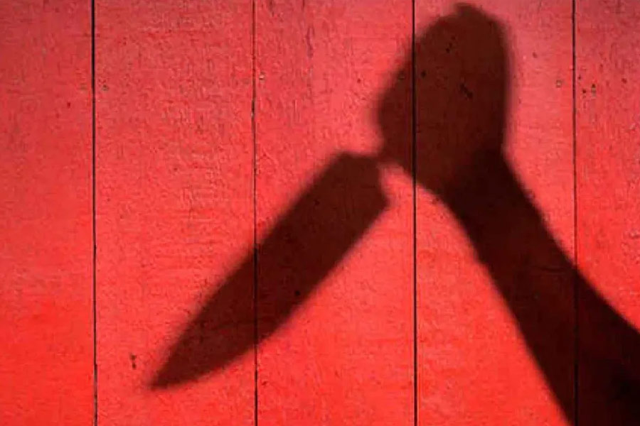 লিওনার্ড এবং চার্লসের বিরুদ্ধে অন্তত ১১ জনকে খুনের অভিযোগ প্রমাণিত হয়েছে। ১৯৮৩ থেকে ১৯৮৫ সালের মধ্যে খুনগুলি করেছেন তাঁরা। তাঁদের শিকার হয়েছিলেন মহিলা, পুরুষ এমনকি শিশুরাও।