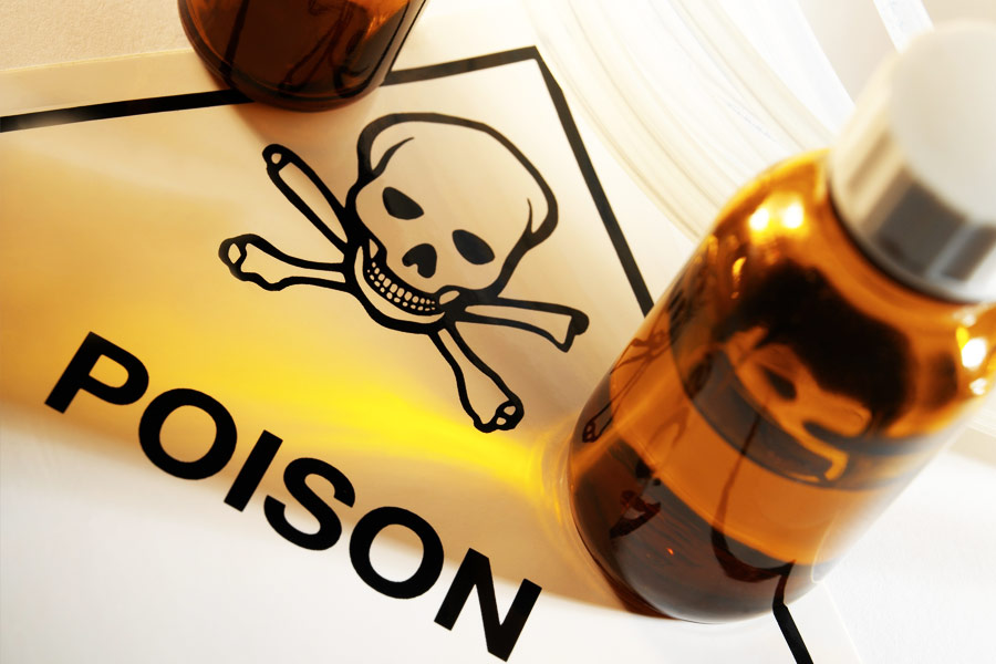 পরের ঘটনা আরও করুণ। কারণ তার প্রেমের ফাঁদে পড়ে নানাবিধ চাপে বিষ খেয়ে প্রাণ গেল দু’জনের। তৃতীয় জনের অবস্থা আশঙ্কাজনক। 