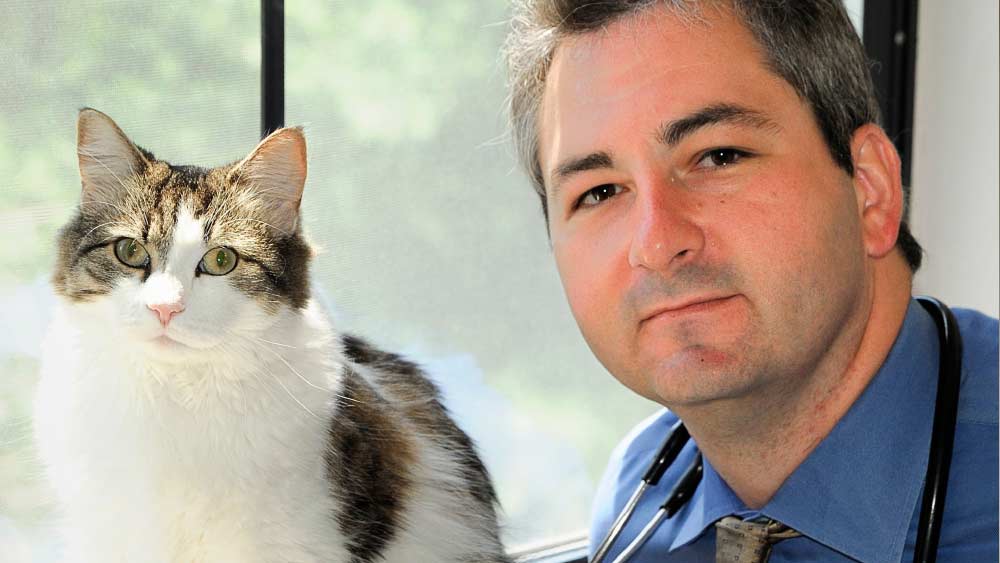 ওই চিকিৎসাকেন্দ্রে সাধারণত মানসিক রোগীদের চিকিৎসা চলত। তবে ‘থেরাপি ক্যাট’ হিসাবে আনা হলেও রোগীদের প্রতি অস্কারের আচরণ মোটেও বন্ধুত্বপূর্ণ ছিল না।