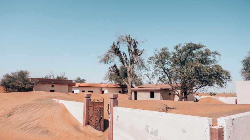 কিন্তু এই যুক্তিকে আবার বিজ্ঞানীদের একাংশ খণ্ডন করেছেন। তাঁদের দাবি, রাতে বালিতে চাপা পড়ে গেলেও, দিনে আবার দ্রুত বালি সরে যায় কী ভাবে? এমনটা তো সম্ভব নয়!