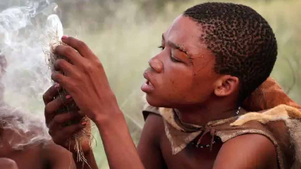 ভাদোমা উপজাতির মানুষদের এ-ও বিশ্বাস যে, তাঁদের পূর্বসূরিরা শিকার এবং ফলমূল সংগ্রহের জন্যই গাছ থেকে মাটিতে নেমে এসেছিলেন। বর্তমানে আফ্রিকার এক মাত্র এই উপজাতির মানুষরাই চাষবাসের সঙ্গে যুক্ত নন।