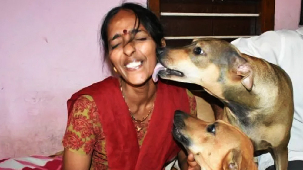 বাসে করে যাওয়ার সময় সেই ক্ষুধাতুর কুকুরটিকে চোখে পড়েছিল রজনী শেট্টির। তবে অন্যদের মতো মুখ ফিরিয়ে নেননি তিনি।