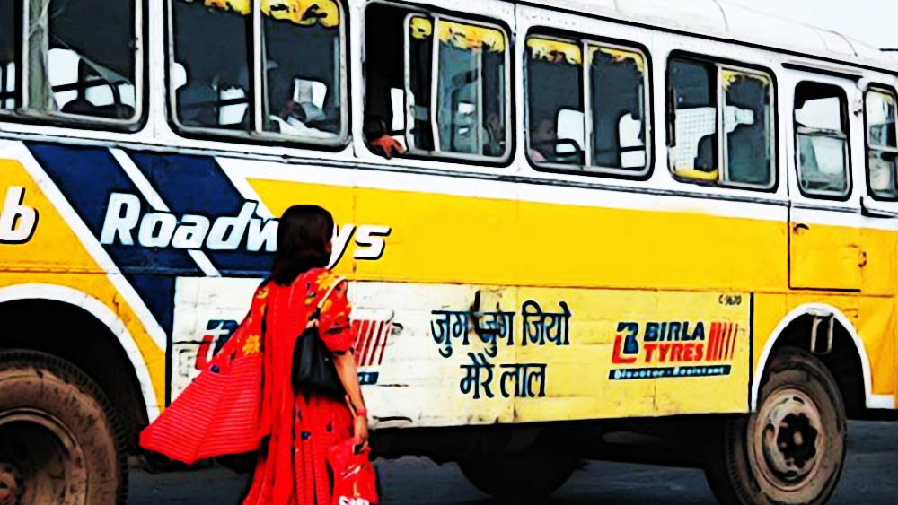 কুকুরটির মুখে খাবার তুলে দিতে তখনই বাস থেকে নেমে পড়েছিলেন রজনী। সে ছিল প্রায় ১৫ বছর আগেকার কথা। তার পর থেকে প্রতি দিনই মেঙ্গালুরুর পথকুকুরদের মুখে খাবার তুলে দিচ্ছেন রজনী।