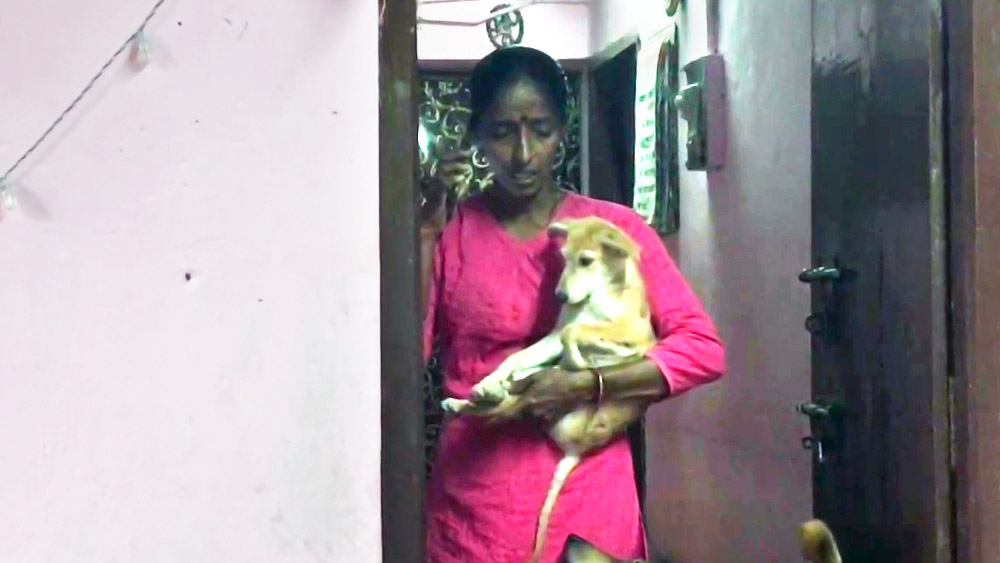 রজনীর কথায়, ‘‘প্রতি দিন রাত ৮টার পর রাস্তার কুকুরদের খাবার দিতে বার হই। যাতে রাস্তার গাড়িঘোড়ার জন্য কুকুরদের কোনও সমস্যা না হয়। এ কাজে আমার স্বামী আর পুরো পরিবার তো বটেই, এমনকি আশপাশের লোকজনও সাহায্য করে।’’