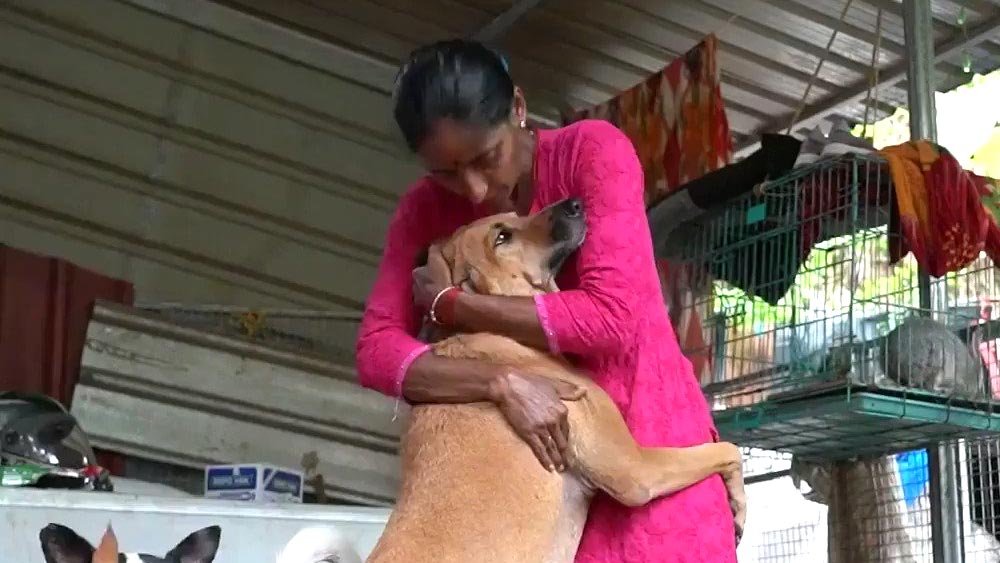 সংবাদমাধ্যমে রজনী বলেন, ‘‘ওই পথকুকুরদের মুখে কিছুটা খাবার তুলে দিলেই দেখবেন ওরা আপনাকে নিঃশর্ত ভালবাসায় ভরিয়ে দিচ্ছে। ওদের ভালবাসায় যে আনন্দ পাই, সেটাই চাই এ জীবনে।’’