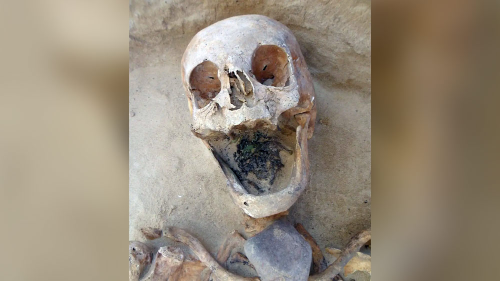 মৃত্যুর পর ফিরে আসা ঠেকাতেই ওই মহিলার বাঁ পায়ের বুড়ো আঙুল অন্য আঙুলের সঙ্গে জড়িয়ে দেওয়া হয়েছিল, মনে করছেন পোলিনস্কি। 