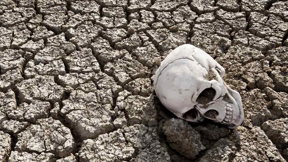 কখনও ১৪ বছরের কিশোরী  কখনও ৩৫ বছরের যুবক, কখনও আবার ৬০ বছর বয়সি বৃদ্ধা। পোল্যান্ডের নানা প্রান্তে এমন নানা কঙ্কাল পাওয়া গিয়েছে বার বার।